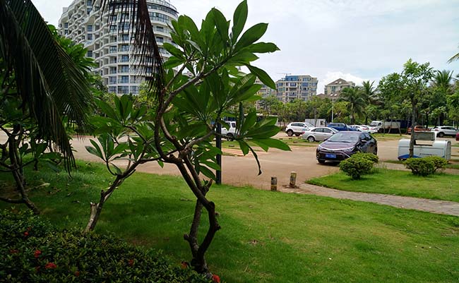 海南旅游租车怎样签合同
