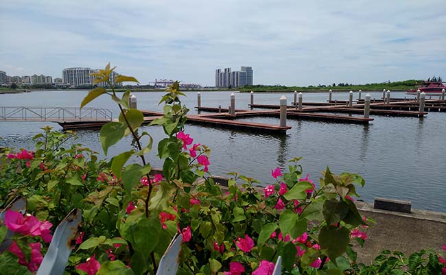 IMG_20180819_130250.jpg