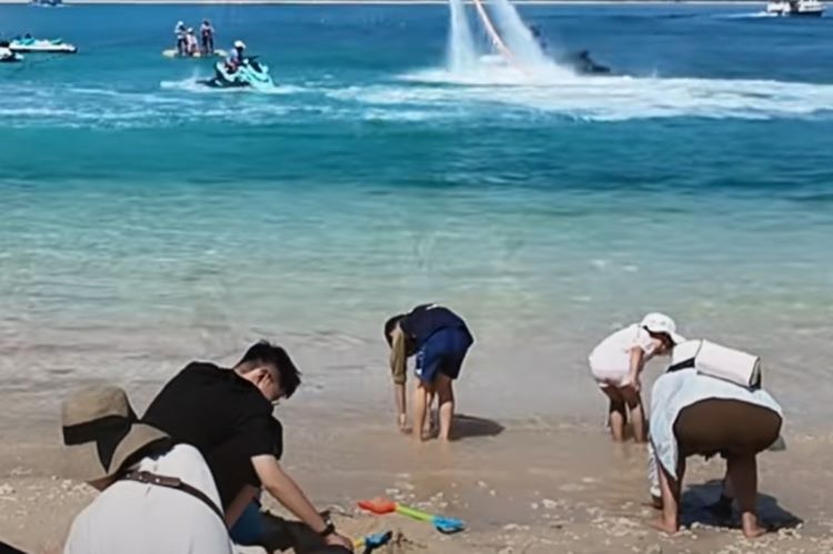 海南租车自驾游捡贝壳